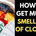 How to Get Musty Smell Out of Clothes (12 Simple Ways)