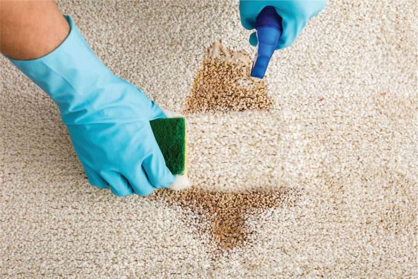 How to Get Old Stains Out Of Carpet