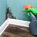 How to Remove Mold From Every Corner of Your Home