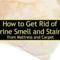 How to Remove Urine Stains and Smell from Clothes, Carpet, Mattress, etc